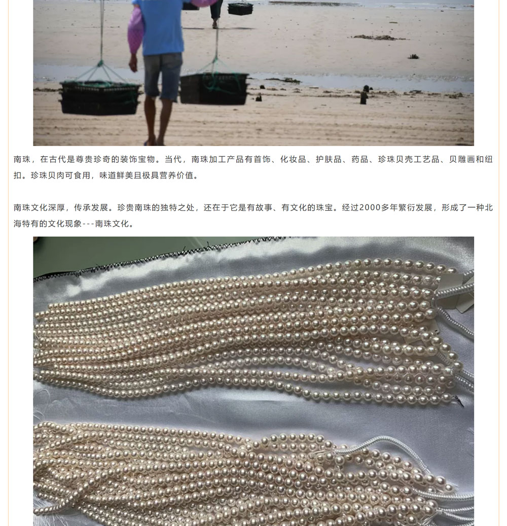古老南珠，綻放異彩