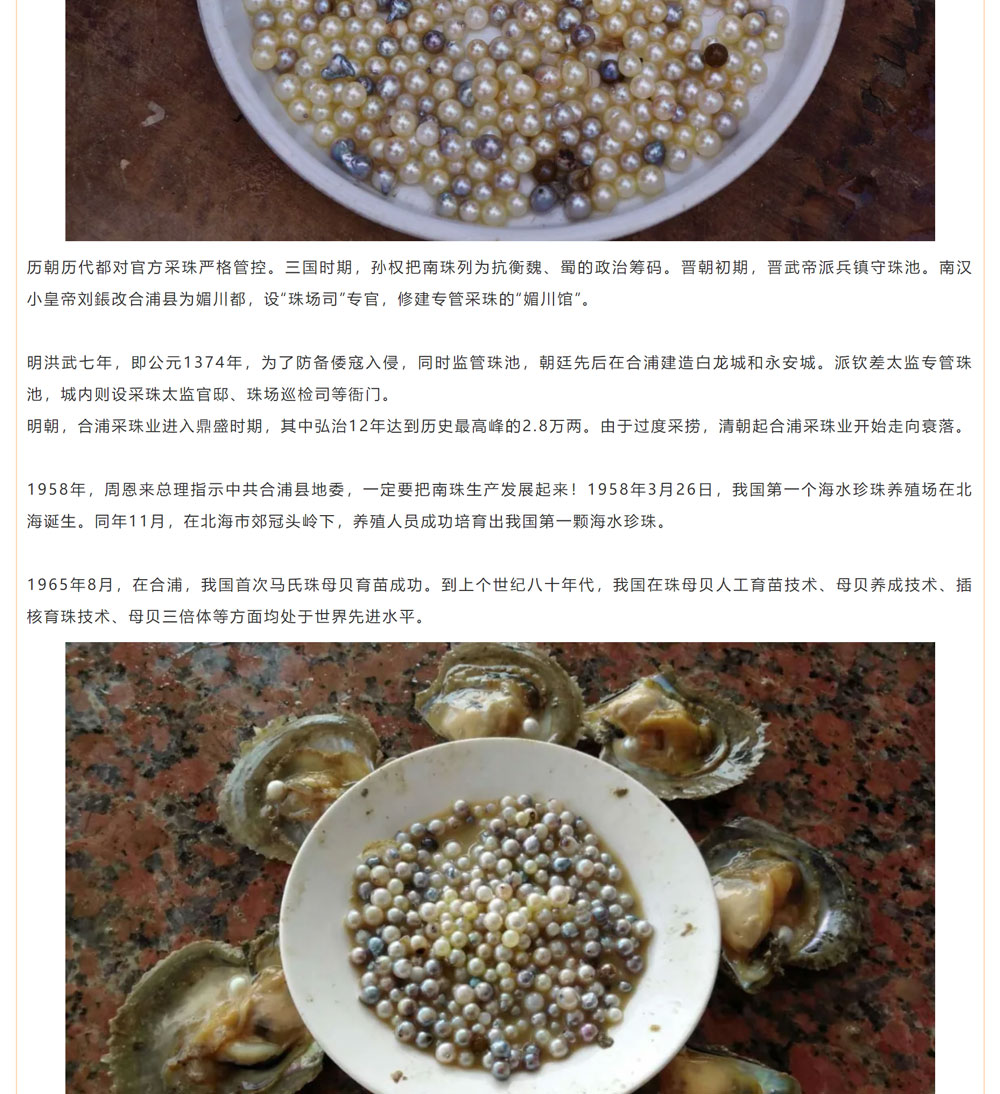 古老南珠，綻放異彩
