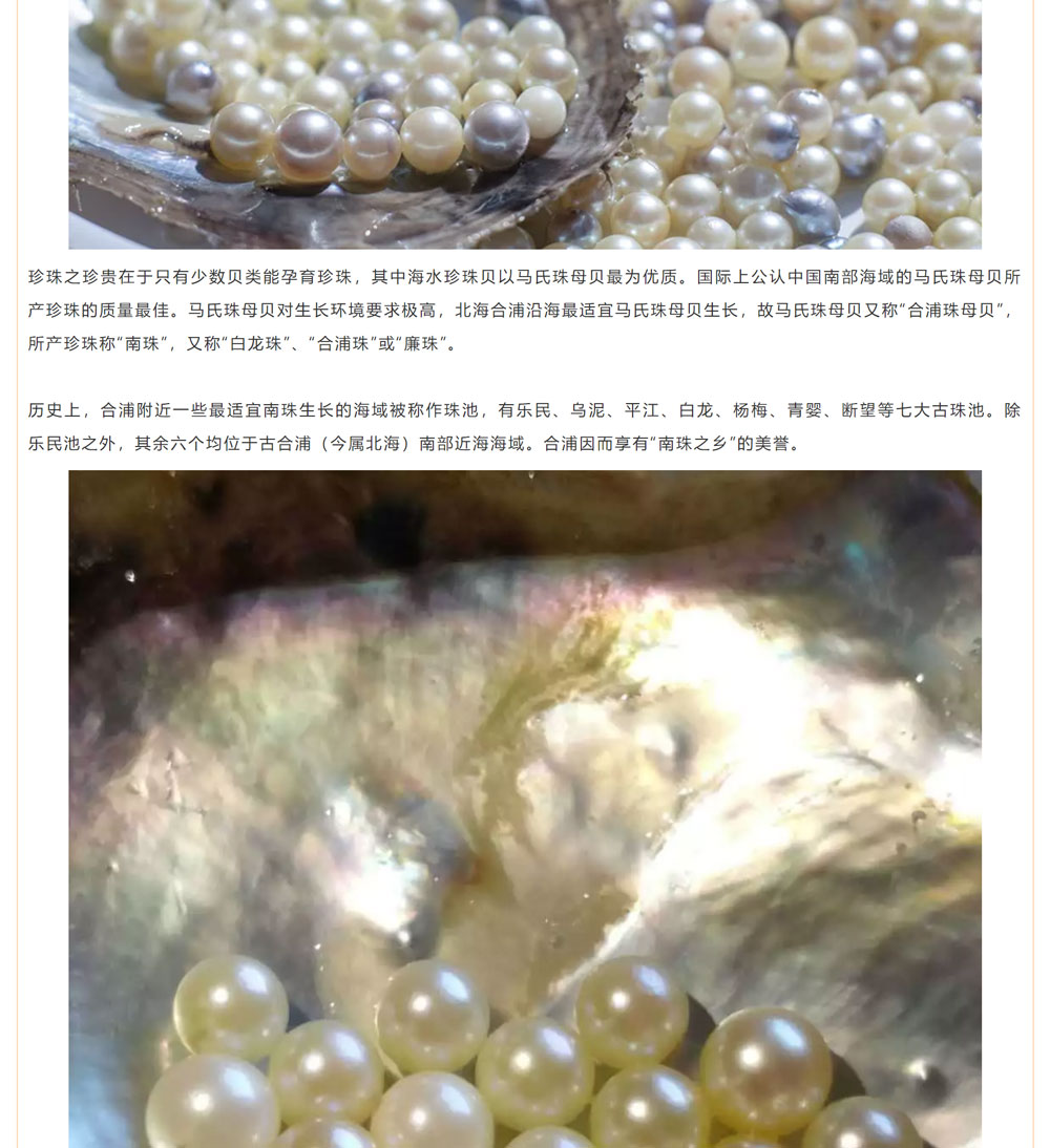 古老南珠，綻放異彩